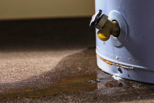 Best Basement water damage restoration  in Carthage, TX