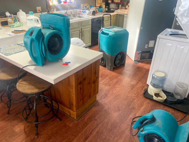 Best Residential water damage restoration  in Carthage, TX