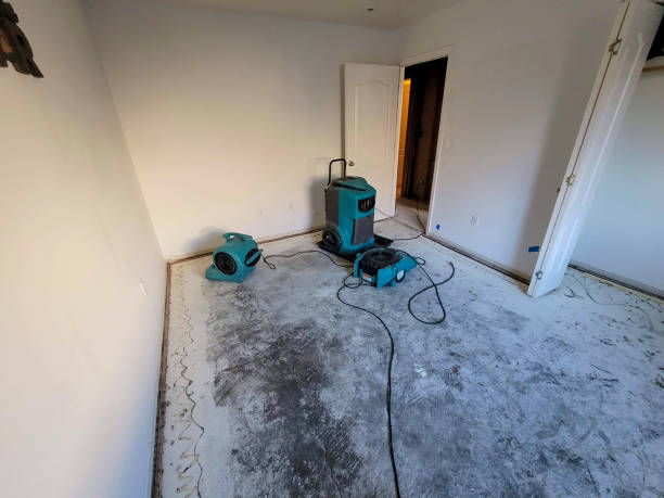  Carthage, TX Water damage restoration Pros