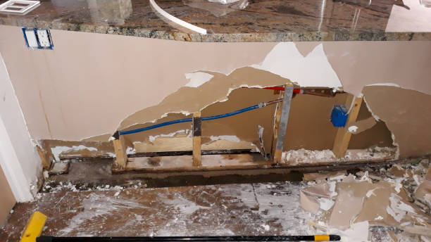 Best Mold removal after water damage  in Carthage, TX