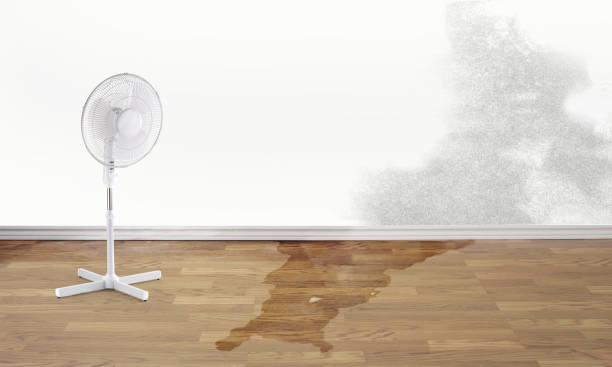 Best Water damage restoration near me  in Carthage, TX