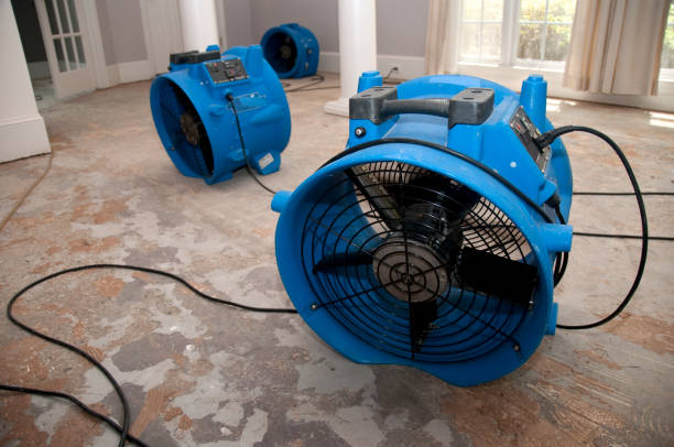 Best Commercial water damage restoration  in Carthage, TX