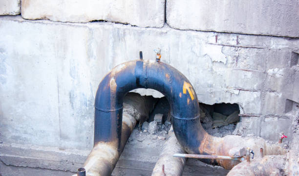 Best Professional water damage repair  in Carthage, TX