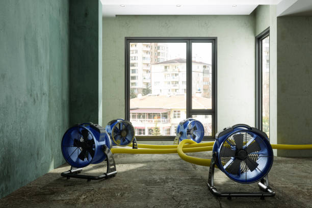 Best Carpet water damage restoration  in Carthage, TX